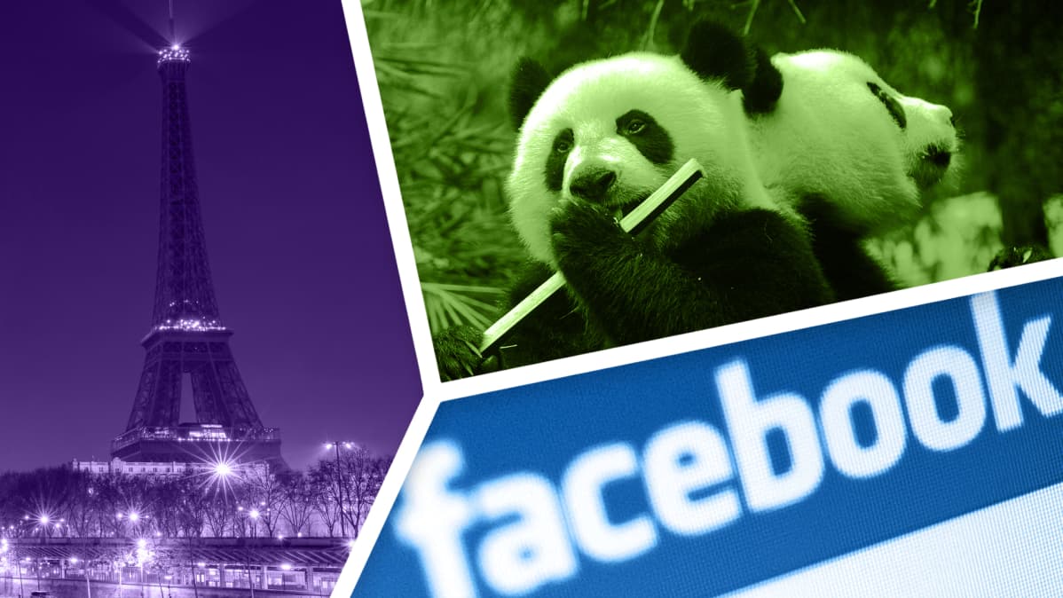 Kuvakollaasi Eiffel-tornista, pandoista ja Facebookin logosta.