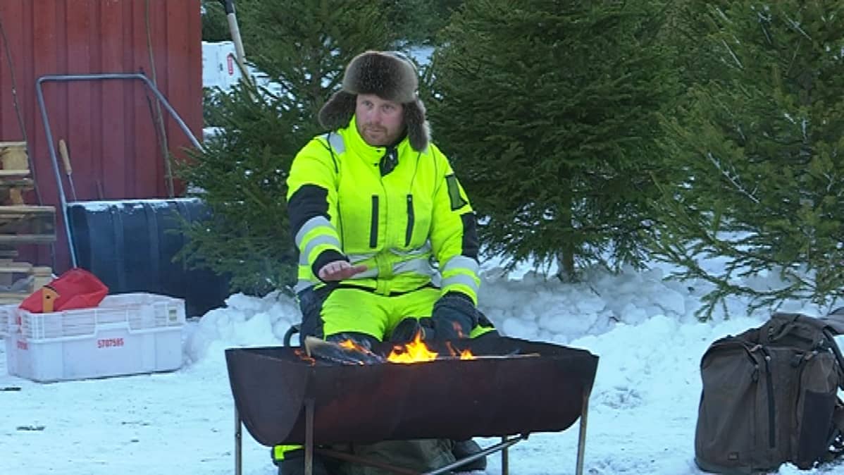 Antti Karvonen, kuusikauppias