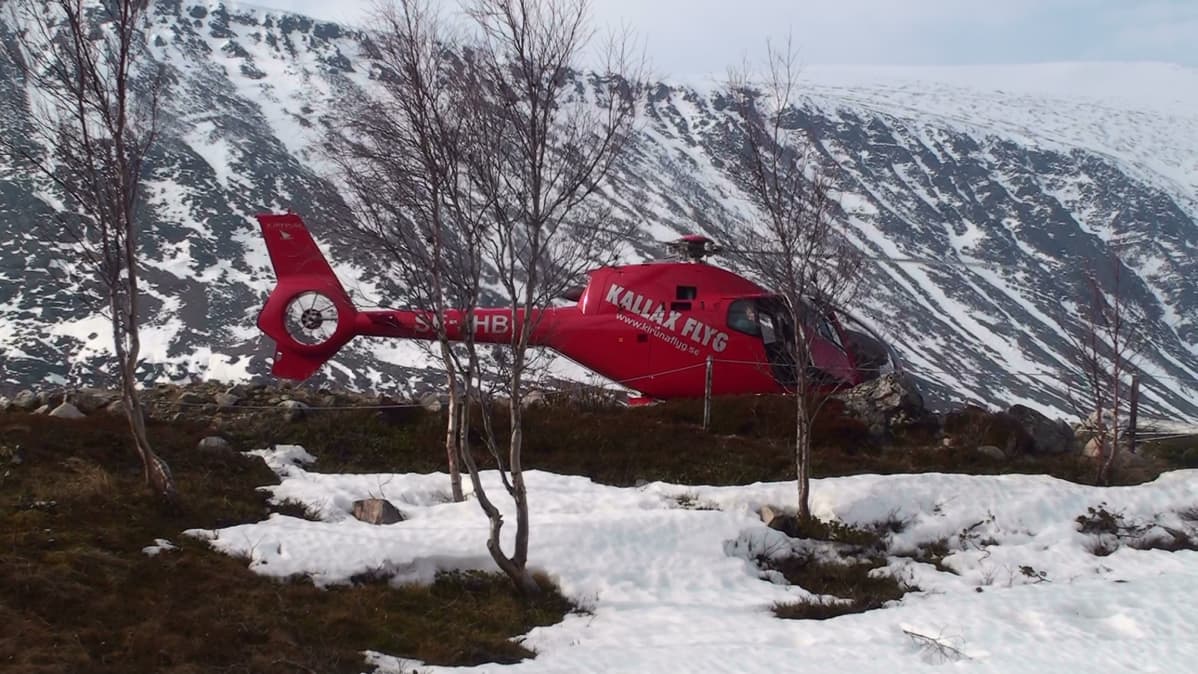 Kallax Flyg lennättää muun muassa metsästäjiä Ruotsin tuntureille.