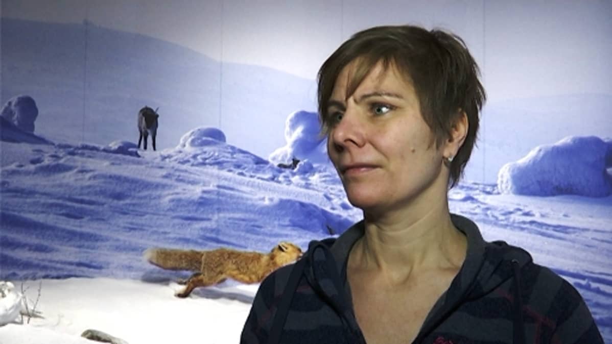 Katja Heikkinen
