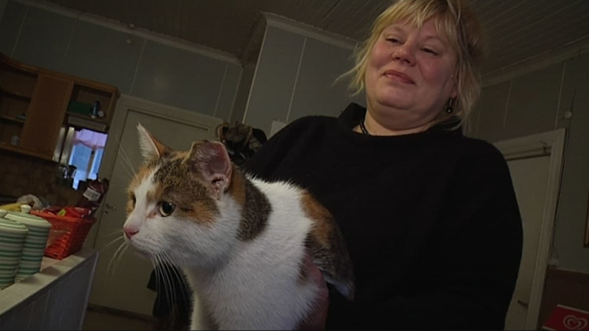 Koistinen vietti pari päivää löytöeläintalossa Taina Marttisen hoteissa. Keskiviikkona omistaja löytyi.