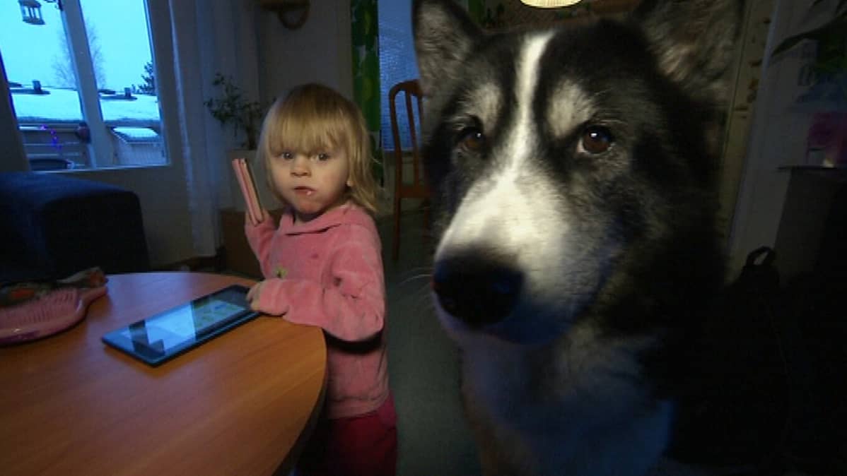 pikkutyttö koiran kanssa sisällä.