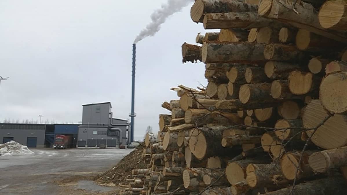 Puupino Kauhavan kaukolämpölaitoksen pihamaalla