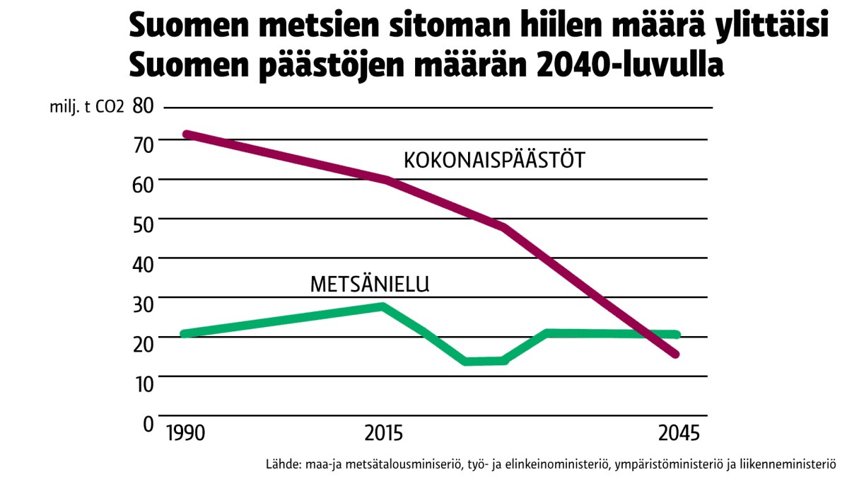 Grafiikka metsien sitoman hiilen määrästä.