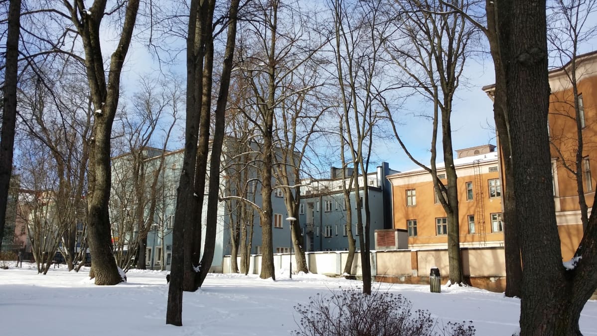 Chydeniuksen puiston viereisiä vanhoja rakennuksia Kokkolassa