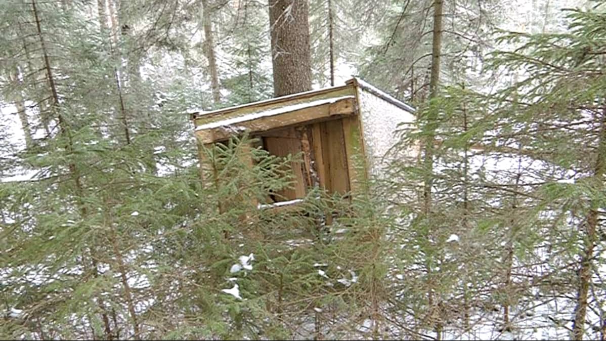 Kaadettu ulkohuussi metsässä.