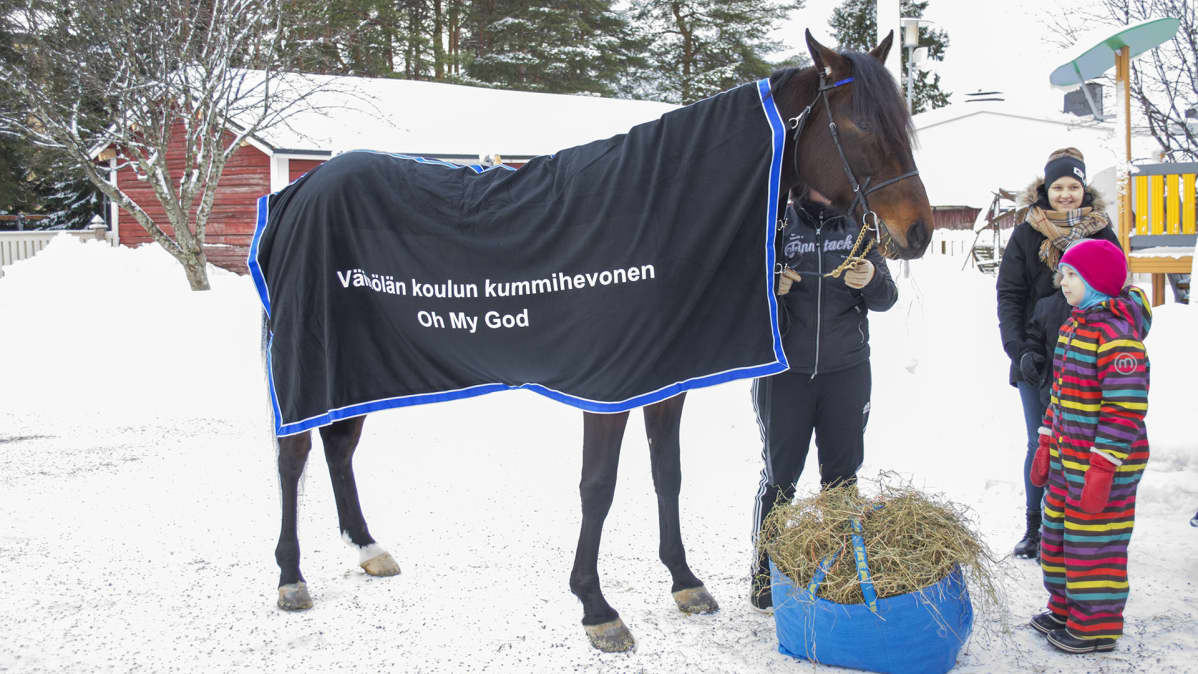 Väinölän koulun kummihevonen Jesse
