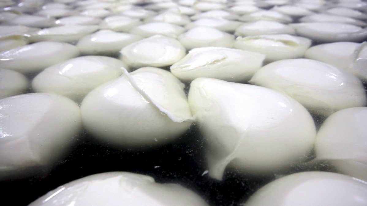 Italialaista mozzarella-juuston tuotantoa.