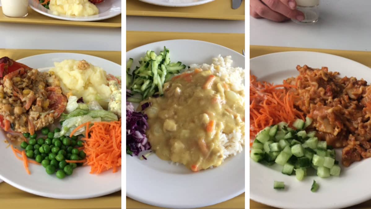 Kolme erilaista kouluruoka-annosta rinnakkain.