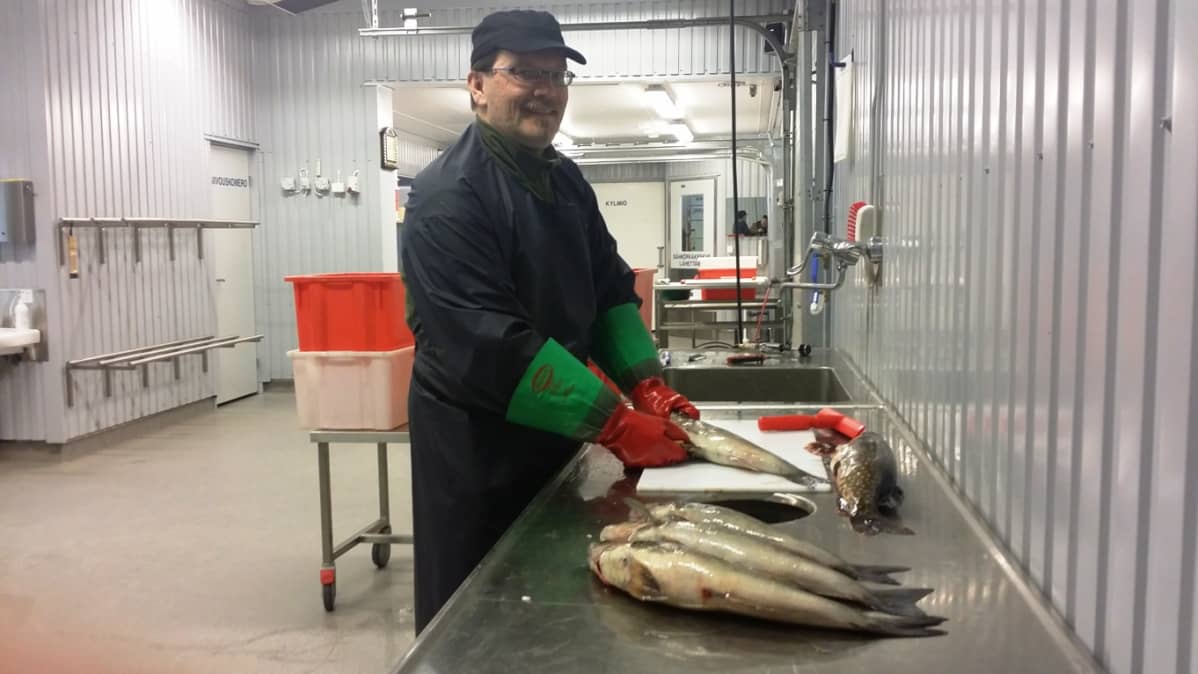 Jouko Sirkkala Sirkkakosken kalasatamassa