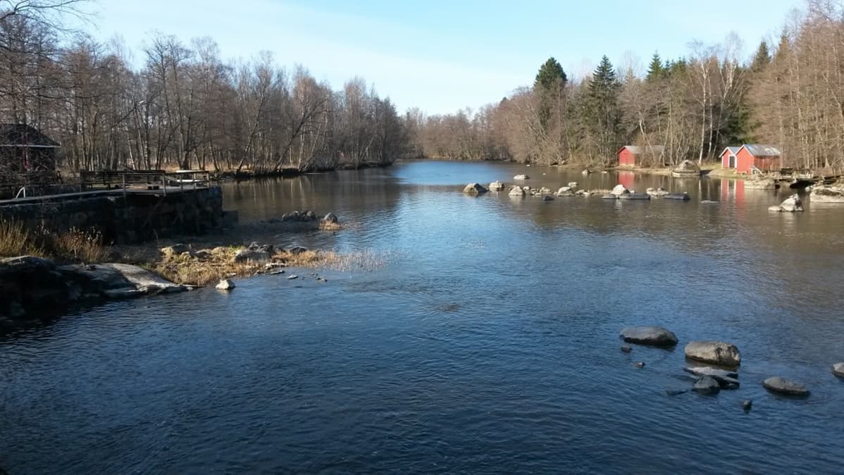 Näkymä Strukan suluilta Pyhtäänhaarassa Kymijoella.