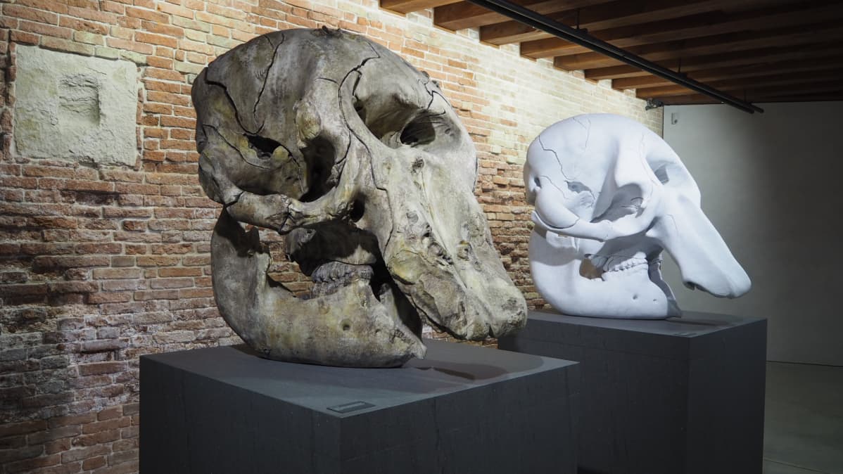 Damien Hirst Venetsia biennale.