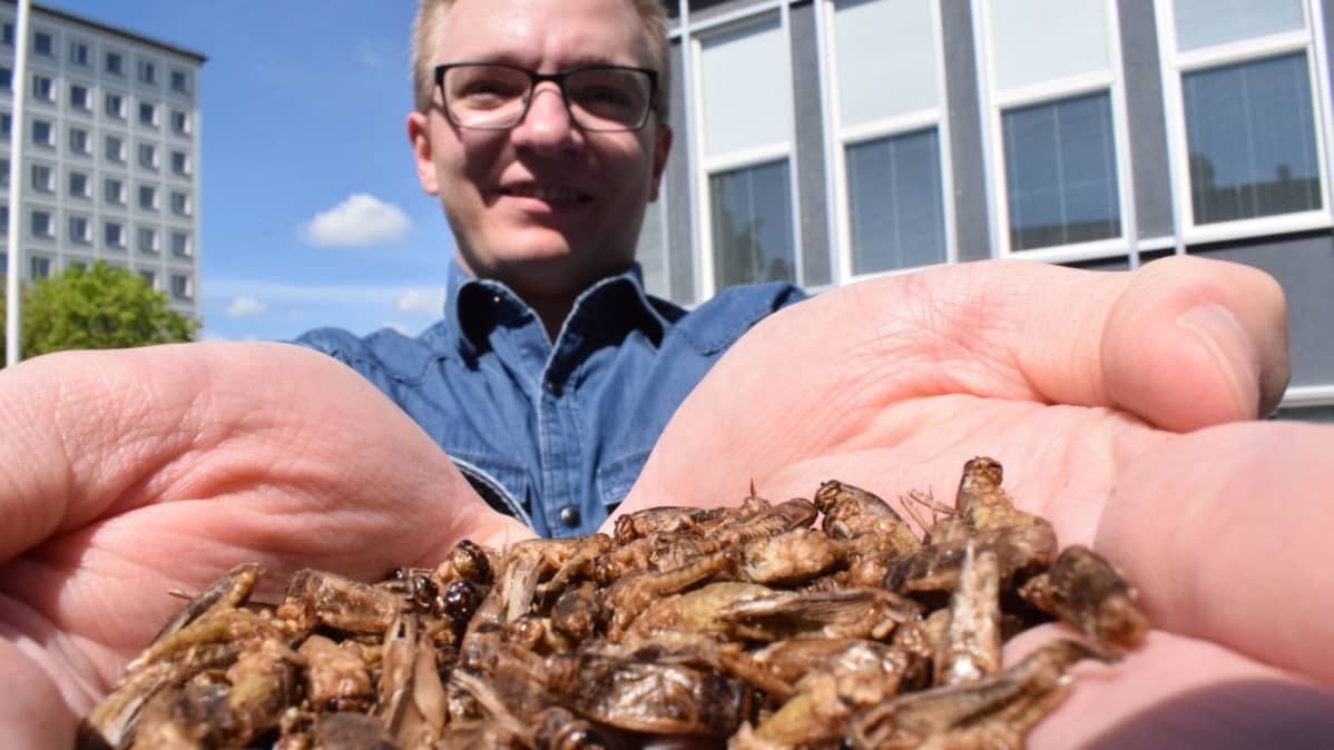 Kuluttajatutkija Samuel Piha ja kotisirkat.
