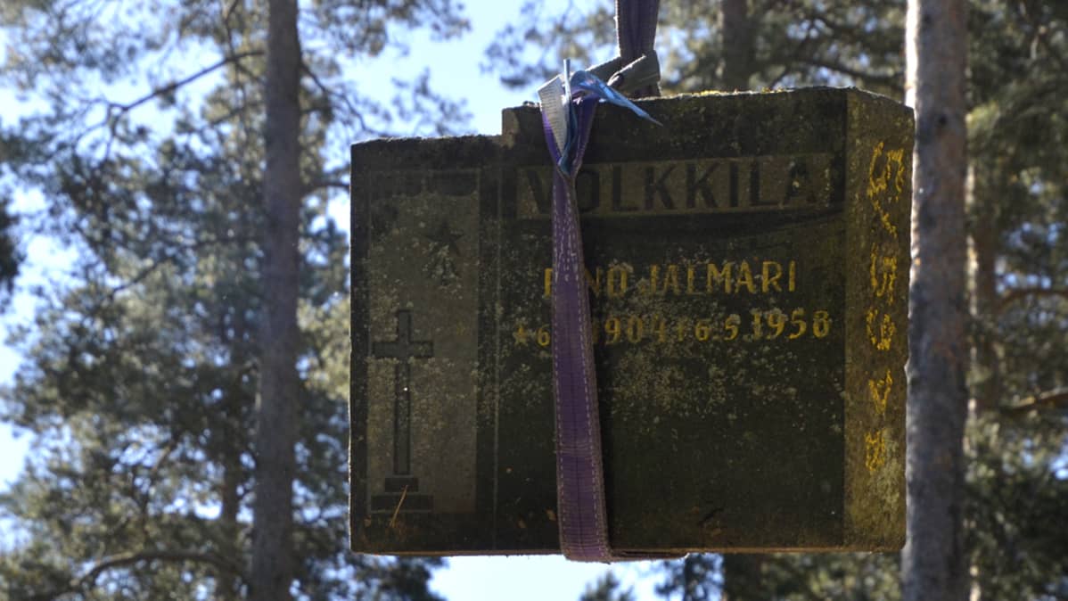 Vanhaa hautakiveä lastatataan kuorma-auton lavelle varastoon kuljetusta varten.