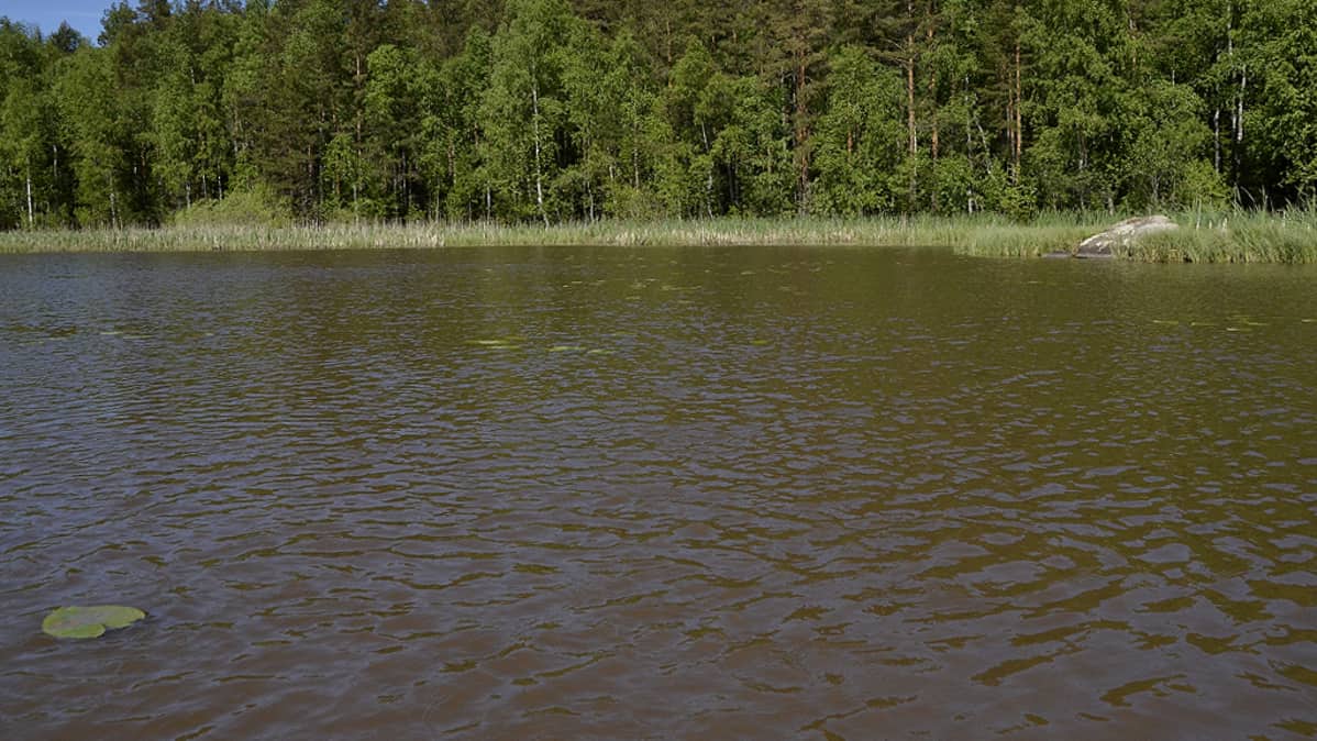 Lemin Nukkalamella kokeillaan mutapalloja veden puhdistuksessa.