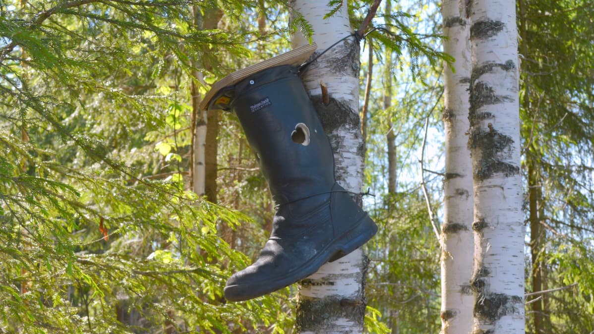 Vanhasta saappasta tehty linnunpönttö.