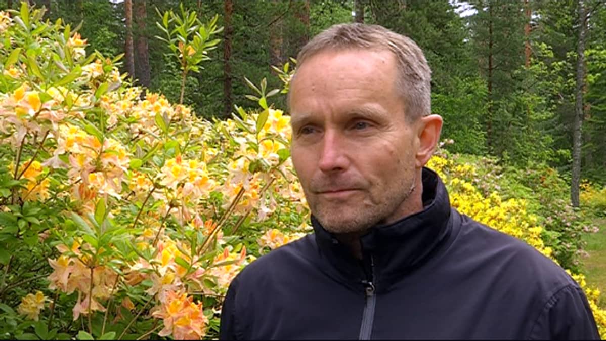 Mustilan arboretumin toiminnanjohtaja Jukka Reinikainen seisoo atsaleapensaan edessä.