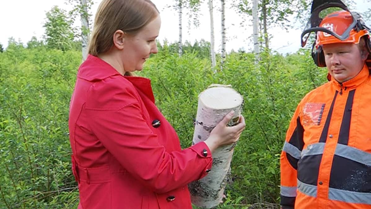 Lasitaitelija Sini Majuri tutkii veljensä Simon sahaamaa koivupölliä.
