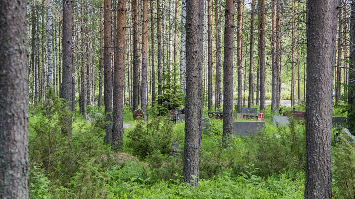 Tuoneviitan hautausmaa Kajaanin Paltanimellä.