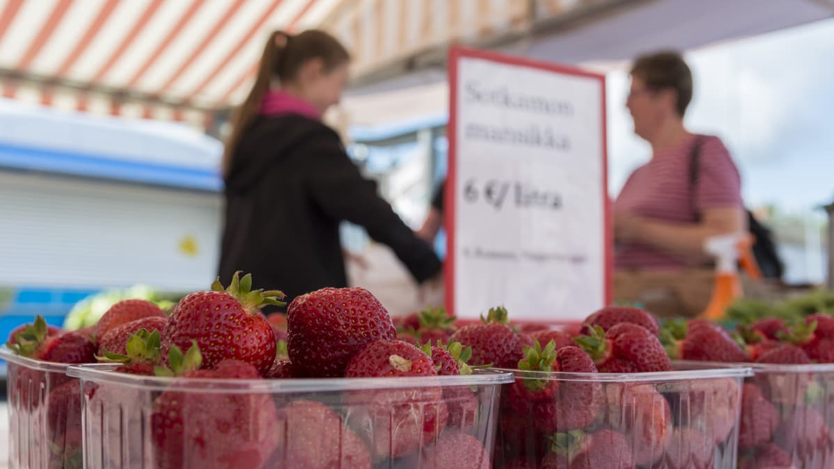 Mansikoita myynnissä Sotkamon torilla