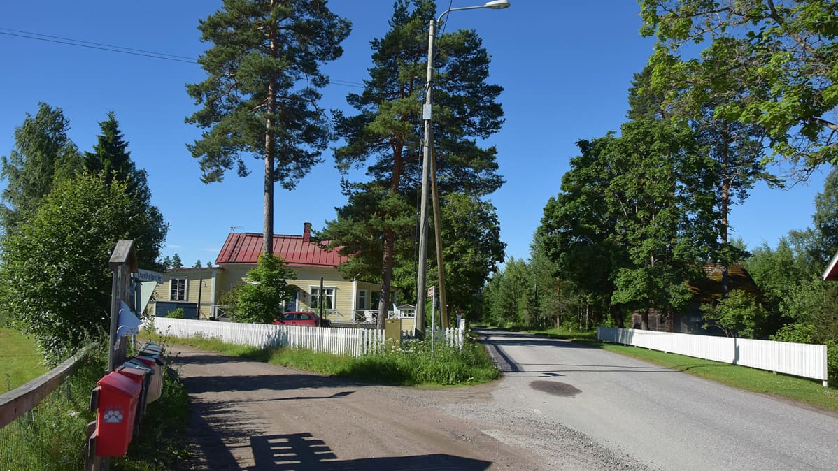 Hämeen Härkätien vehreä kesämaisema Rengon Nummenkylän kohdalla