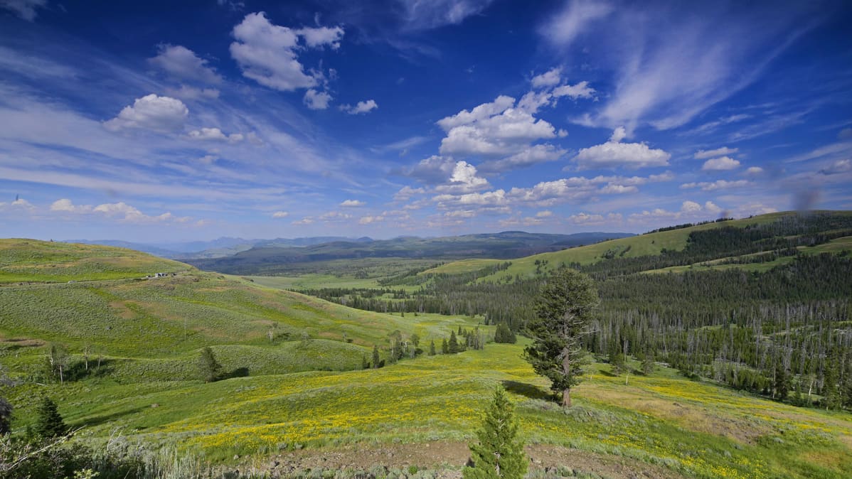 Yellowstonen kansallispuisto
