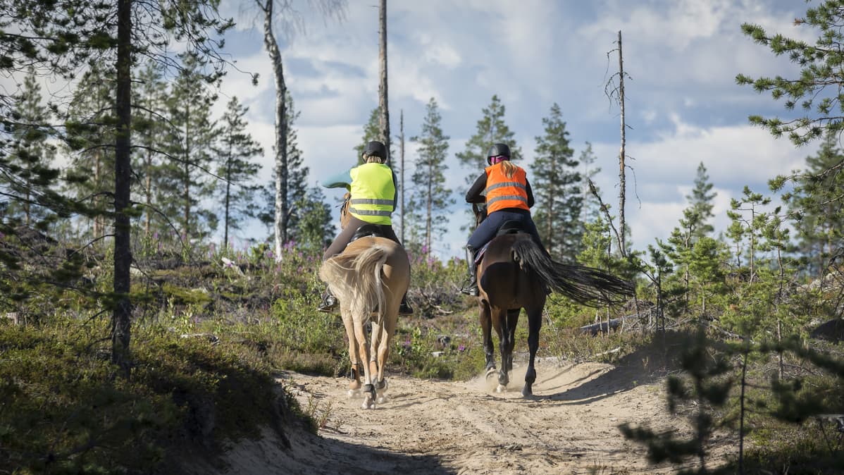 Ratsastajia maastossa Kajaanissa.