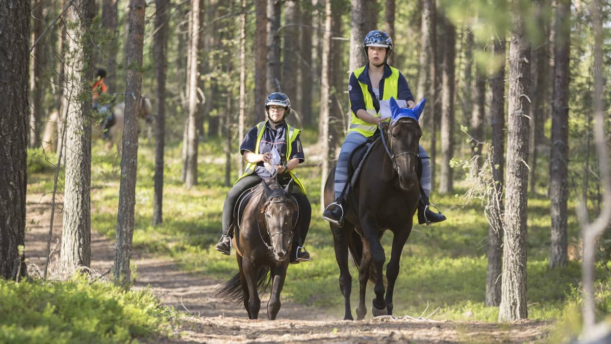Ratsastajia maastossa Kajaanissa