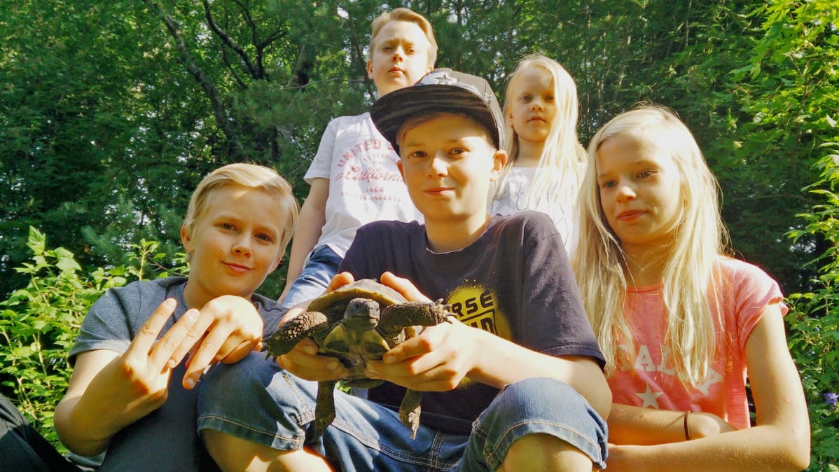 Viisi lasta käytti kilpikonnan etsintään tunnin ja onnistui löytämää kadonneen lemmmikin.