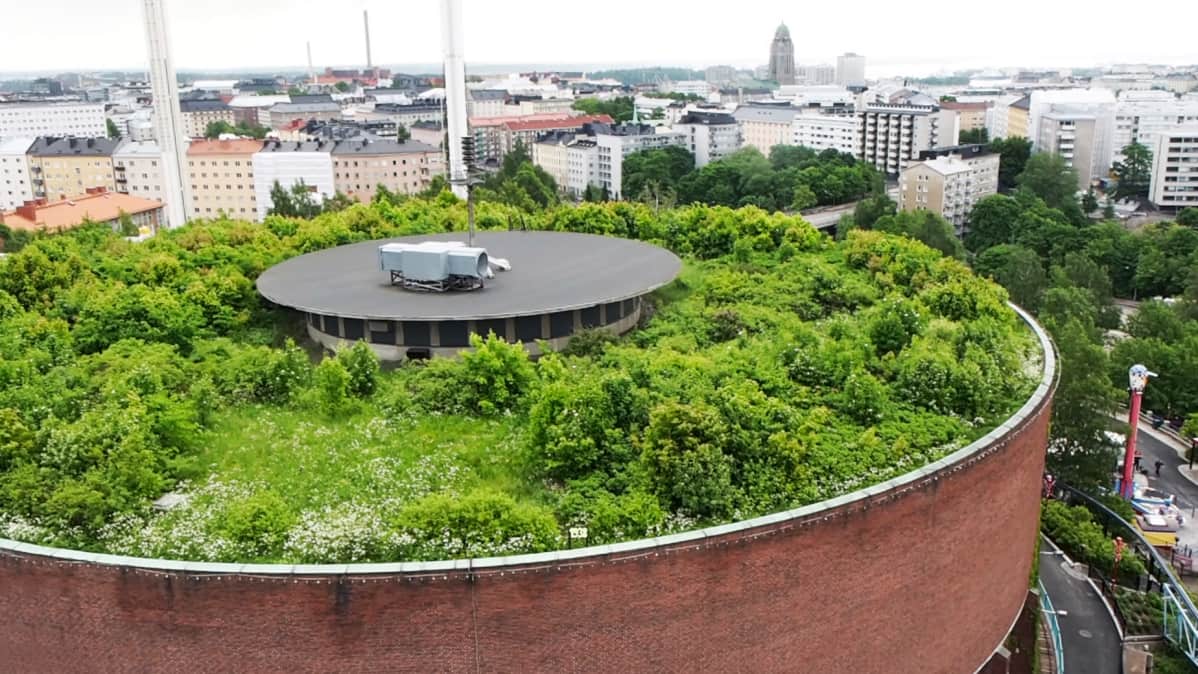 Linnanmäen vesitorniin on rakennettu viherkatto