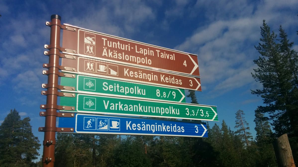 Pallas-Yllästunturin kansallispuisto