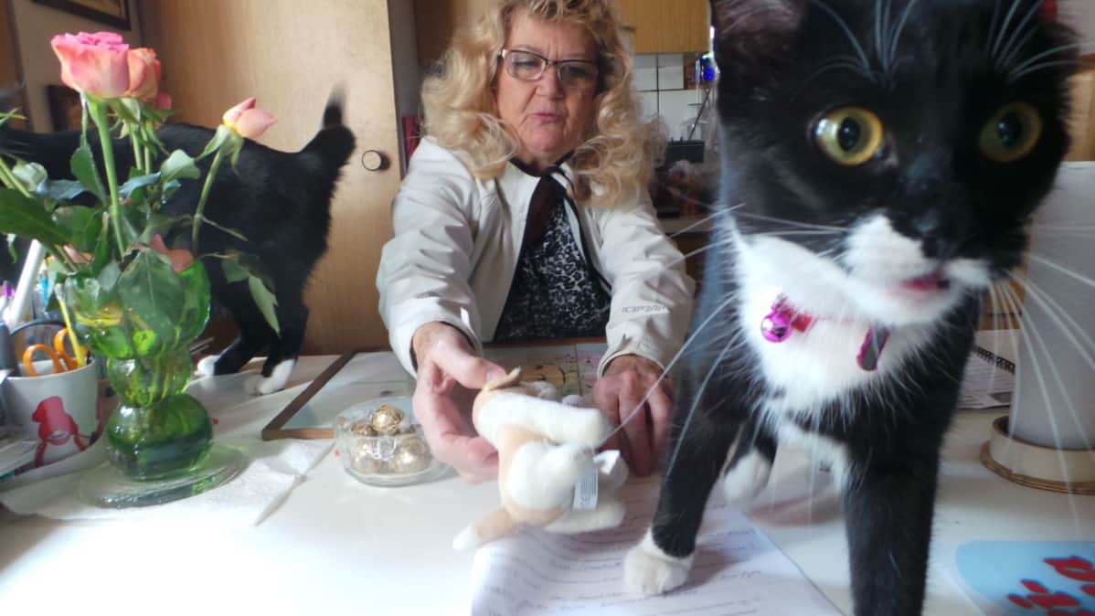 Heidi Luotonen ja kaksi kissaa