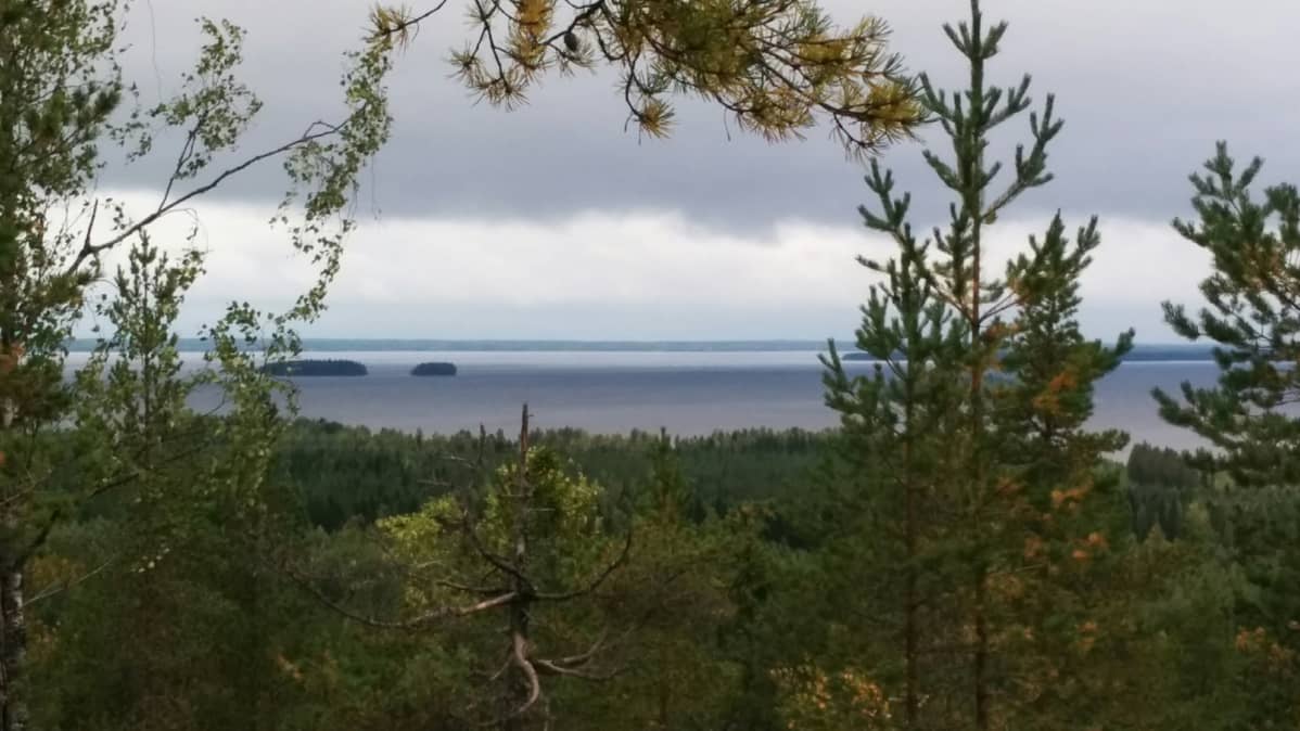 Pyhävuoren huipulta on upeat maisemat Lappajärvelle.
