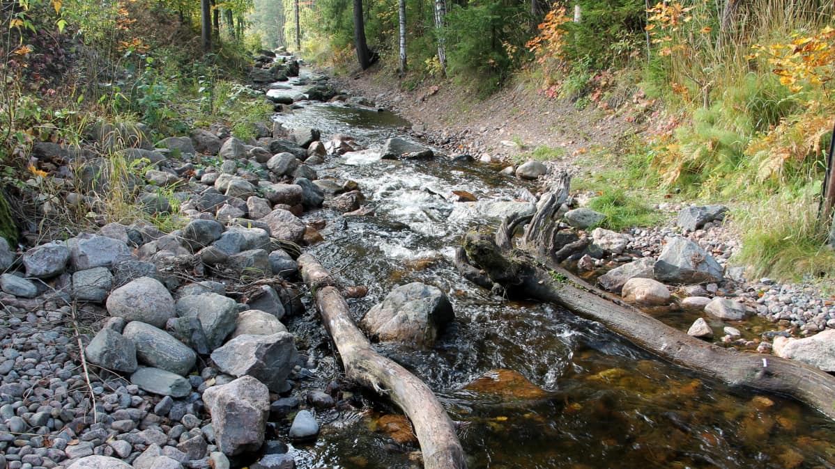 Imatran kaupunkipuro