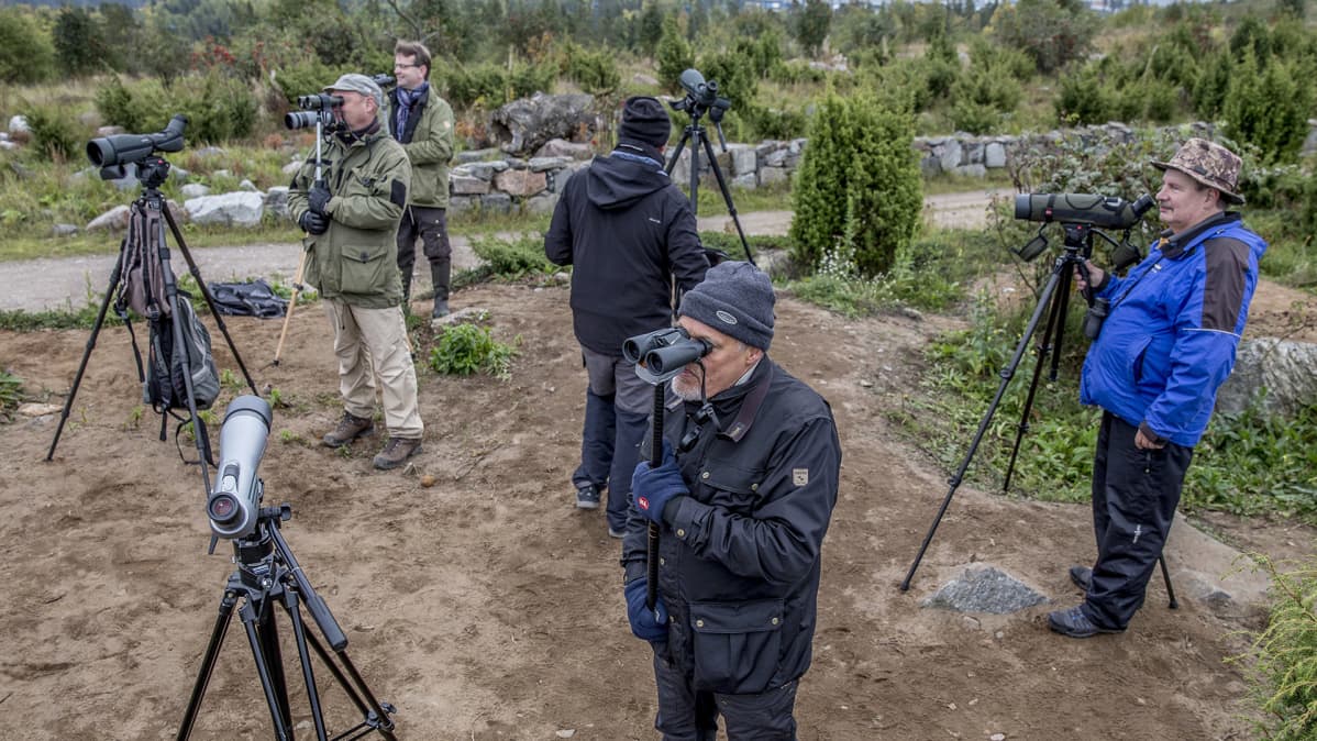 Lintuharrastajia kiikaroimassa.