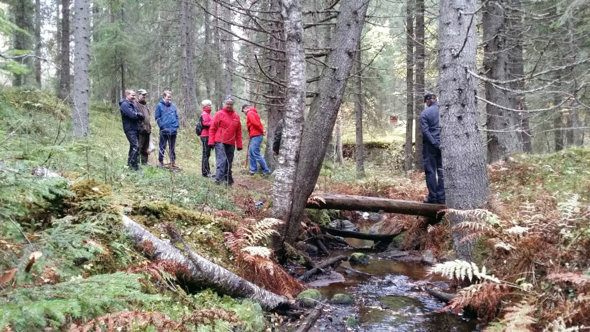 Kopolan kyläläiset metsässä luonnontilaisen puron äärellä.