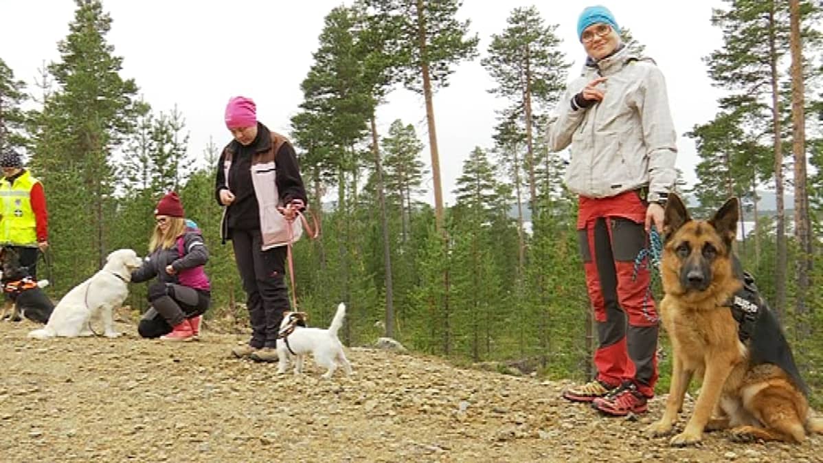 Pelastuskoirat
