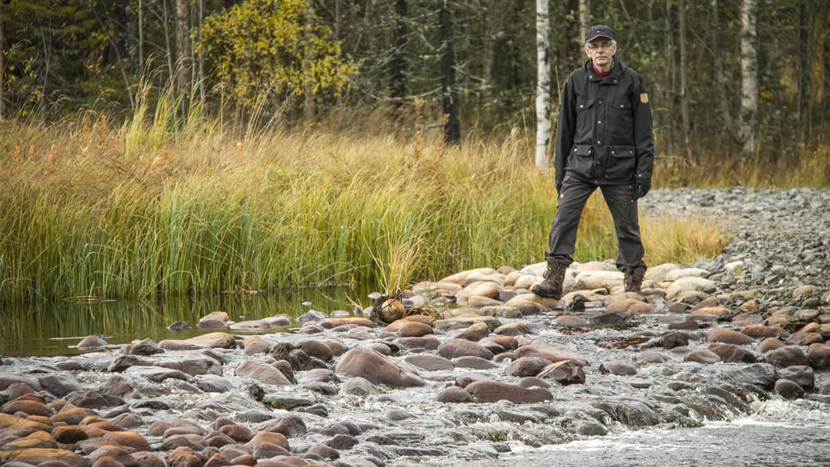 Birger Ylisaukko-oja Jäälin Kalamäen kosteikkoon rakennetulla pohjapadolla 5.10.2017.