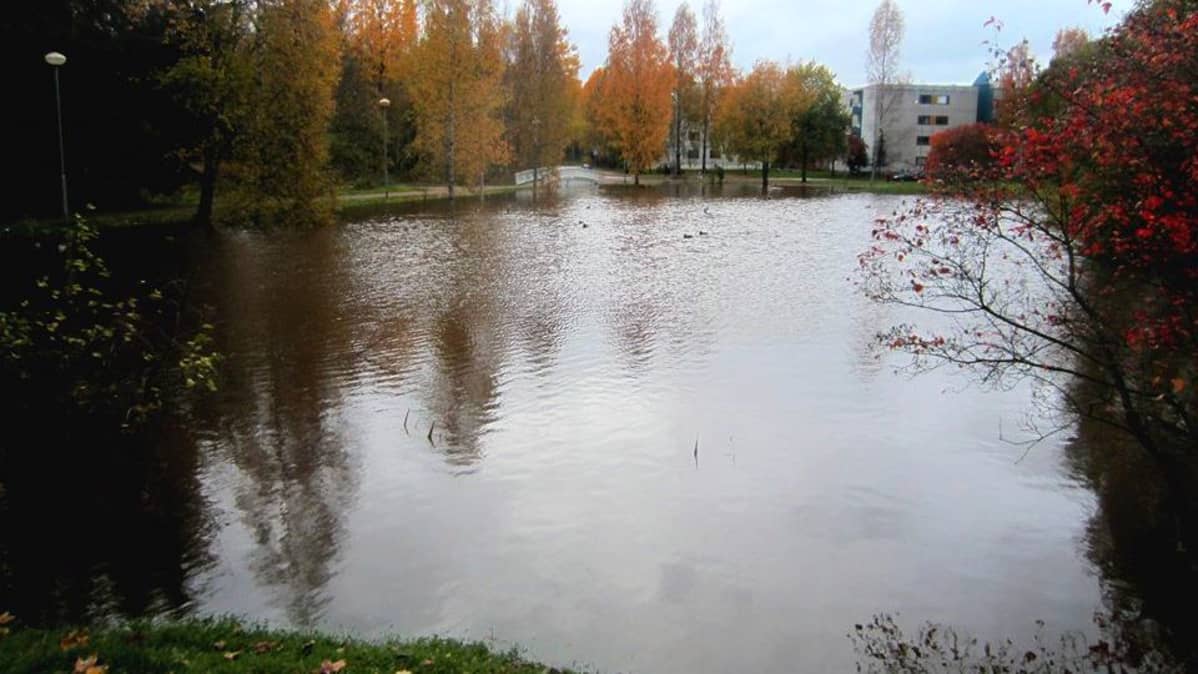 tulvavettä ja taustalla kerrostaloja