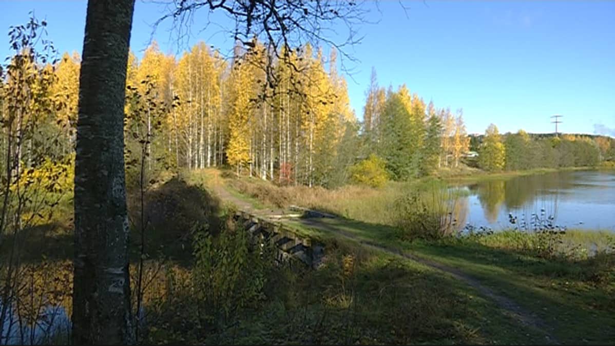Maunukselan puron silta Kuusankoskella