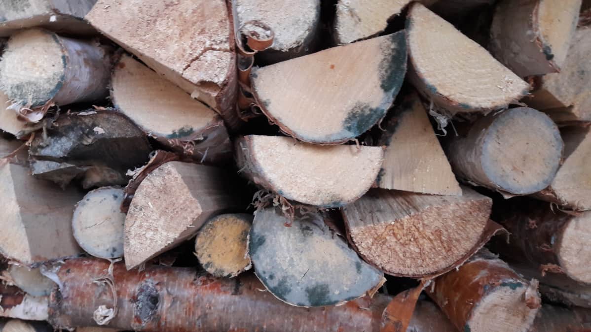 Homeisia polttopuita pinossa