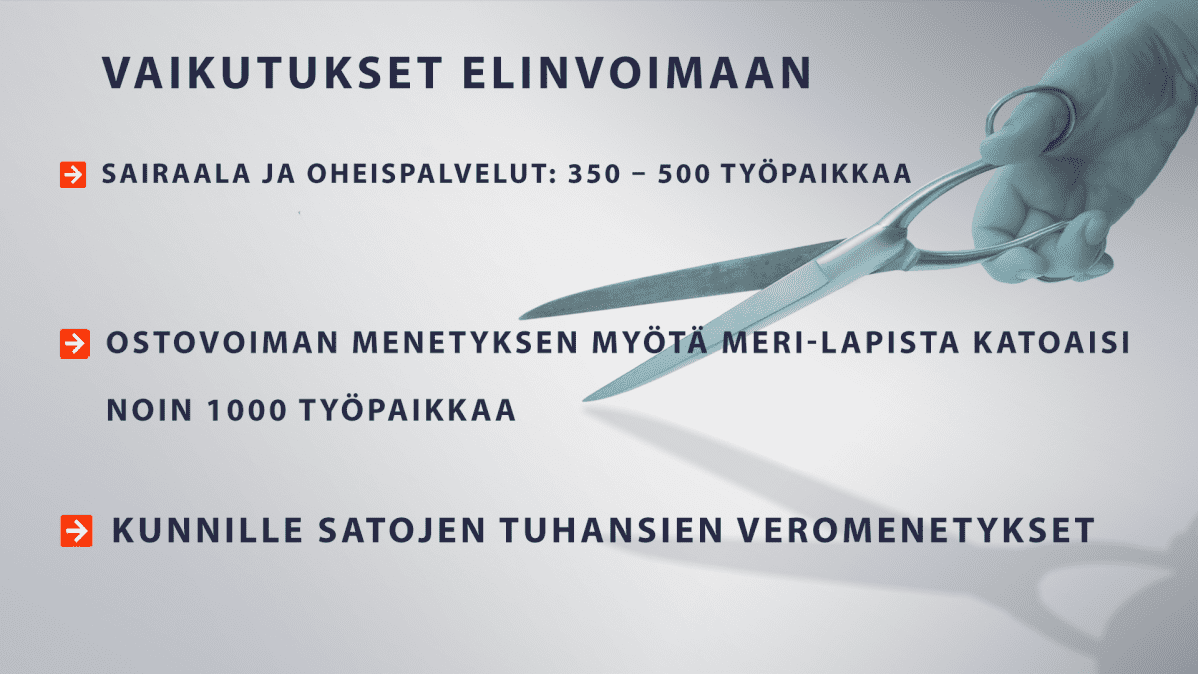Vaikutukset elinvoimaan -grafiikka.