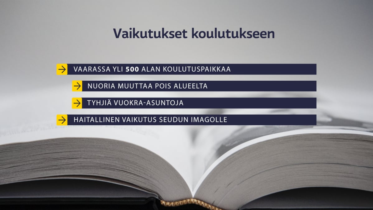 Vaikutukset koulutukseen -grafiikka.