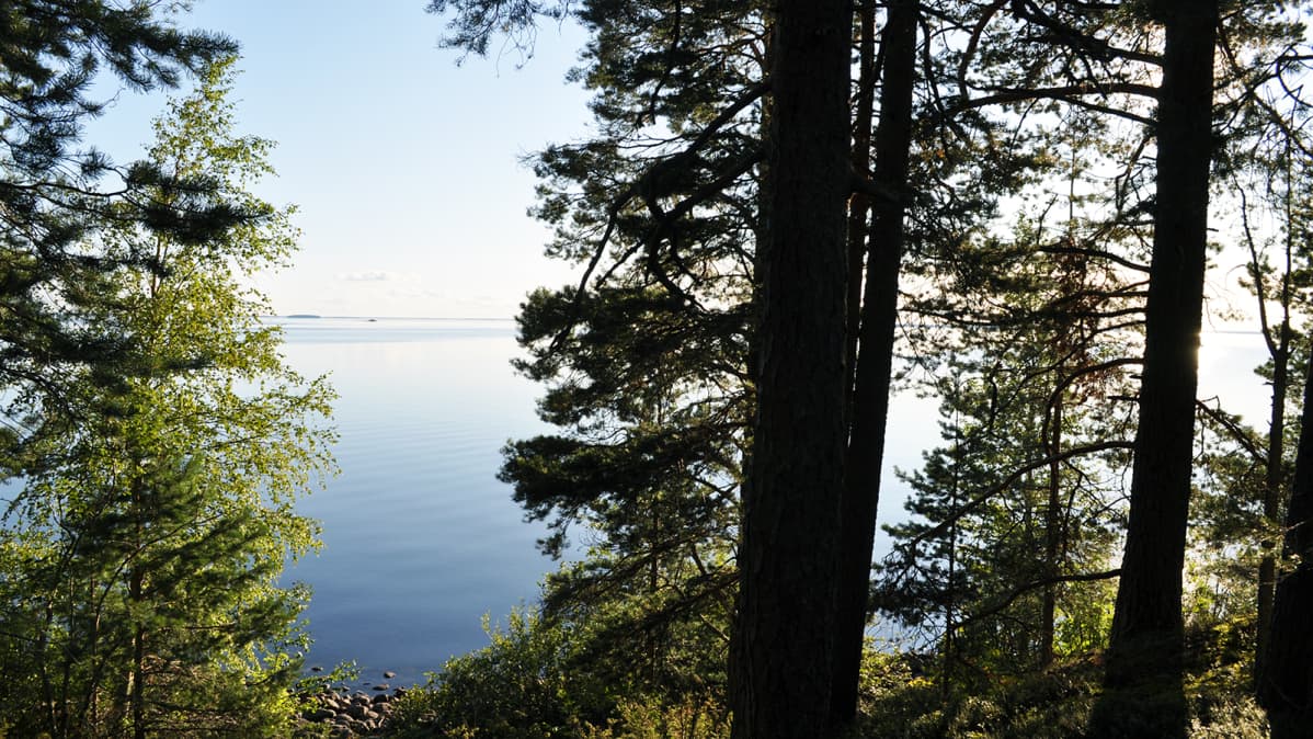 Kuostonsaarelta aukeaa Oulujärven selkä.