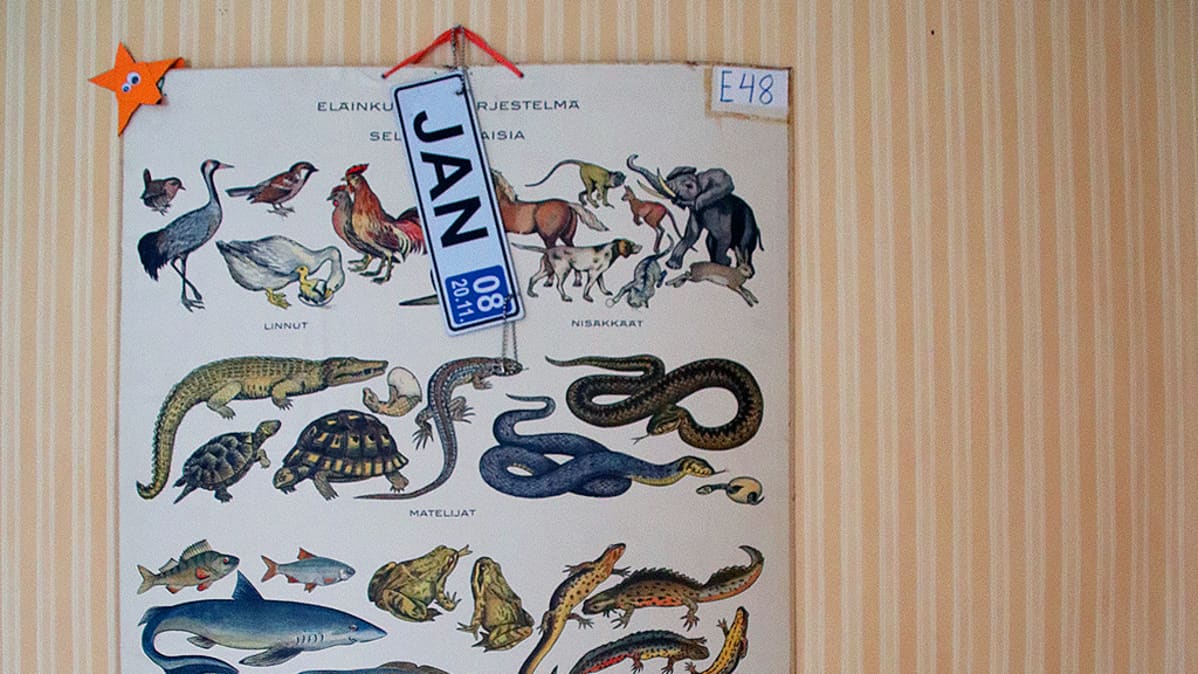 Juliste ja Jan rekisterikilpi