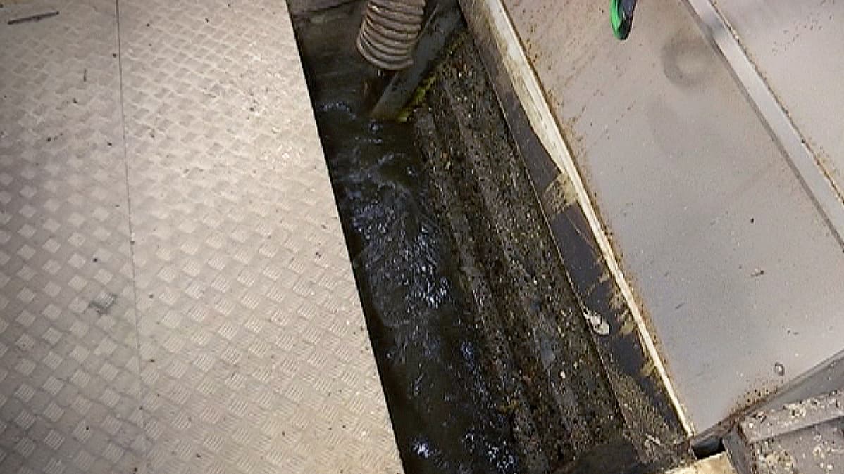 Viemäriverkostosta saapuva jätevesi seulotaan puhdistamolla ennen prosessia mekaanisella välpällä.