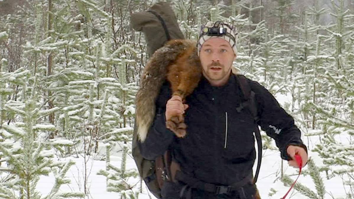 Juha-Petteri Juotasniemi kantaa saaliiksi jääneen ketun metsästä olkapäällään.