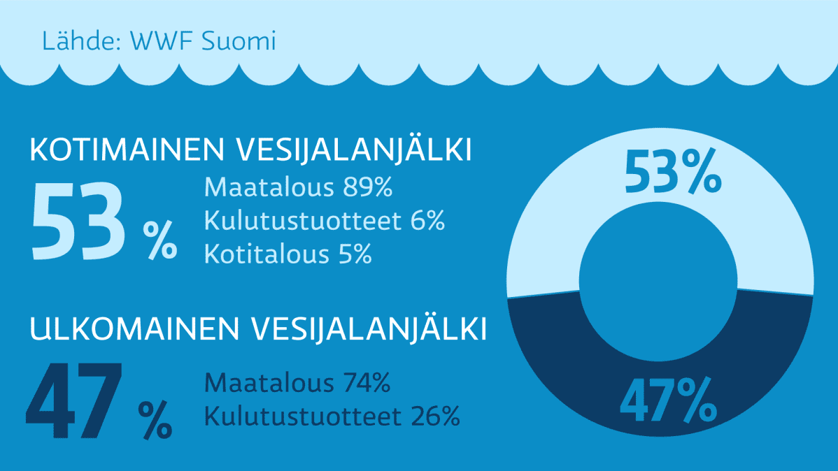 Veden kulutus