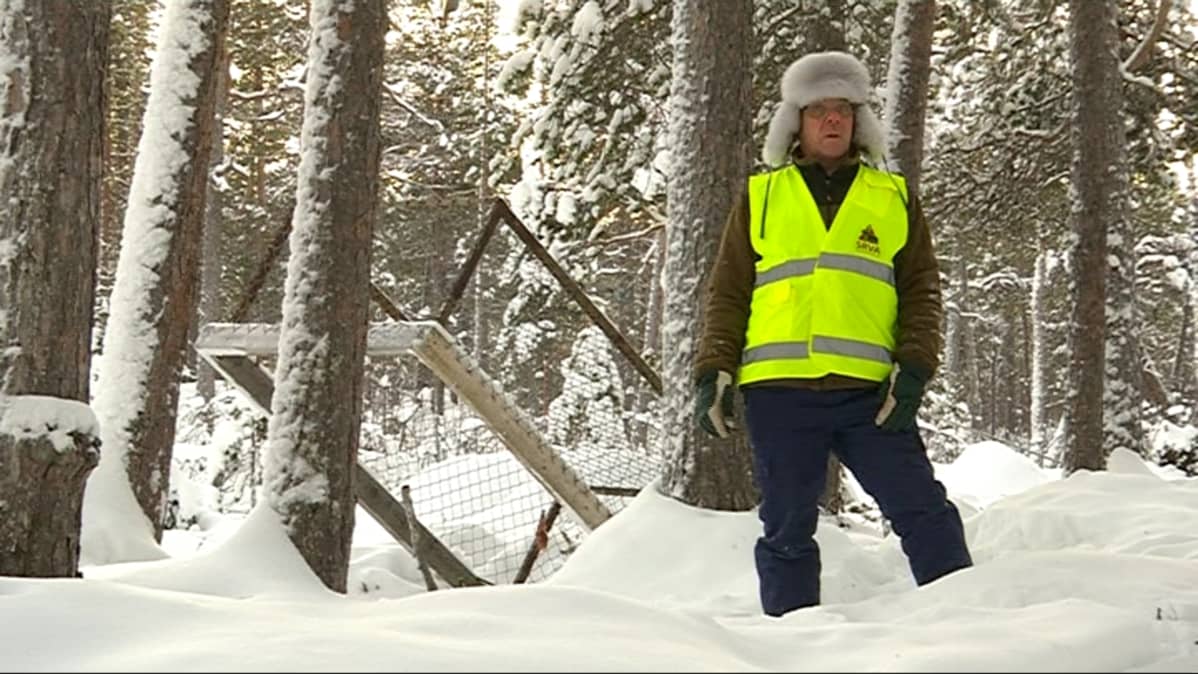 Jari Kangasniemi