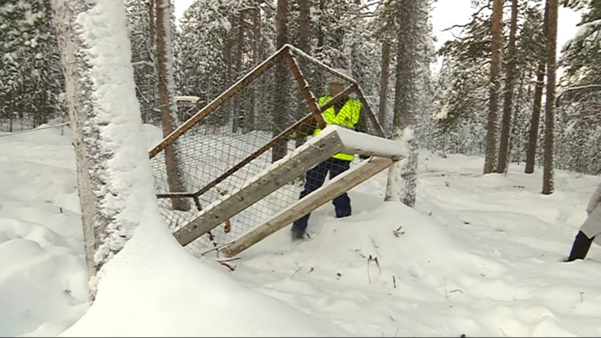 Jari Kangasniemi kettuloukulla
